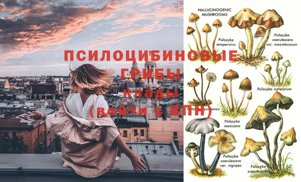 кокс Рославль