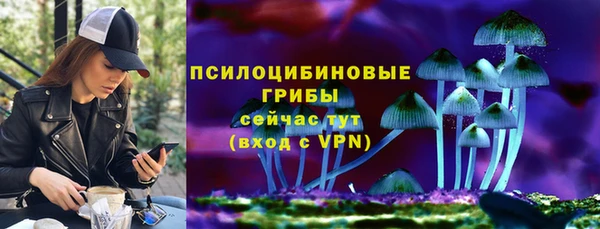 дурь Россошь