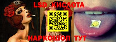 ГАЛЛЮЦИНОГЕННЫЕ ГРИБЫ Кандалакша