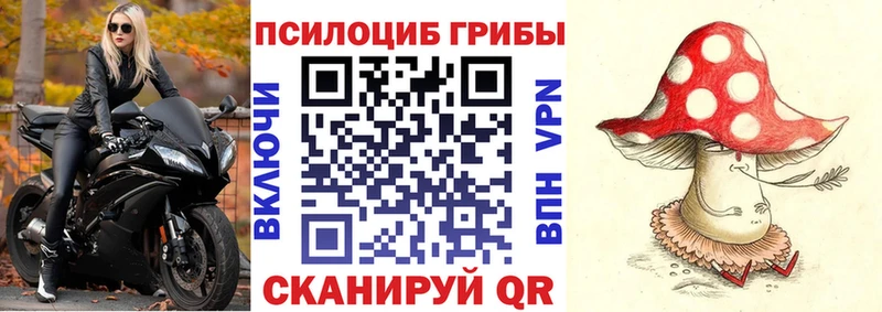 купить наркотики цена  МЕГА вход  Псилоцибиновые грибы прущие грибы  Спасск-Дальний 
