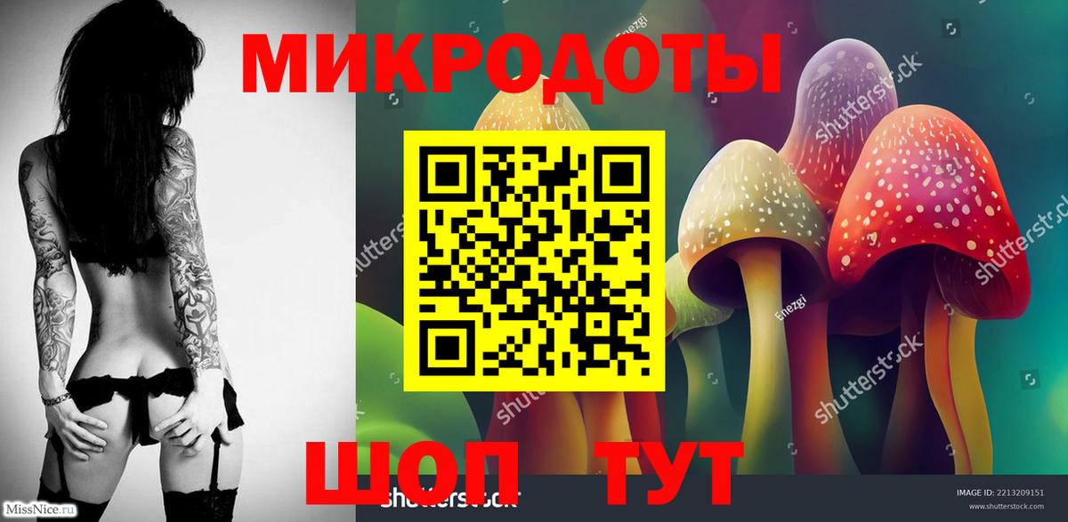 Спасск-Дальний  Псилоцибиновые грибы прущие грибы  Псилоцибиновые грибы Psilocybe  Вход с VPN 